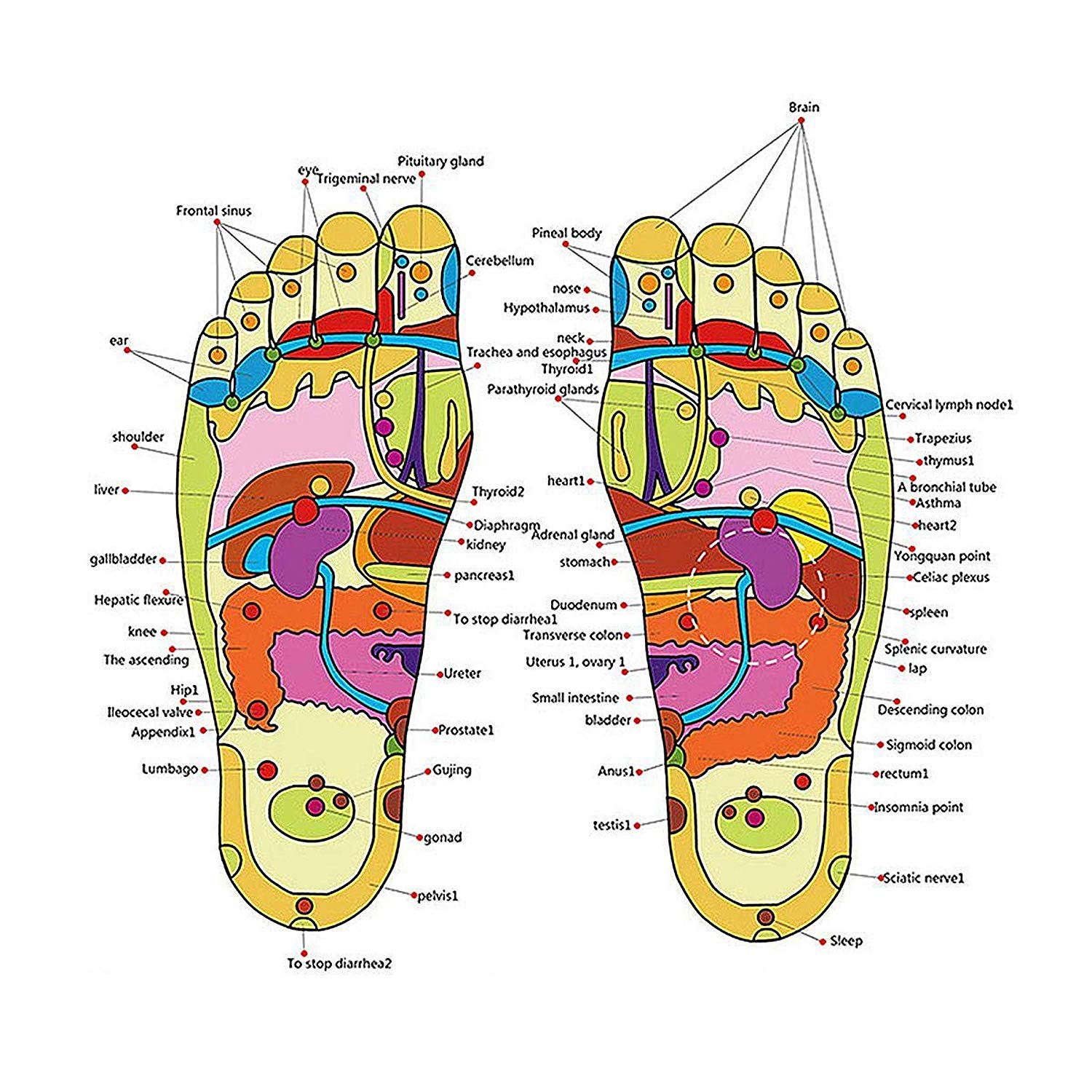 Acupressure Paduka Accu Slippers for Full Body