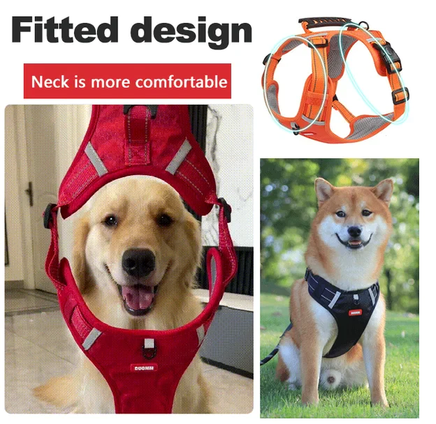 THE EASY NO-PULL HARNESS